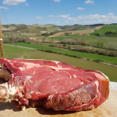Agriturismo Montepinci Montalcino Exteriér fotografie